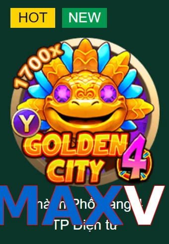 MAXVI