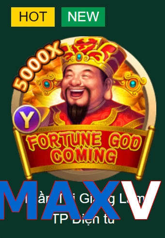MAXVI